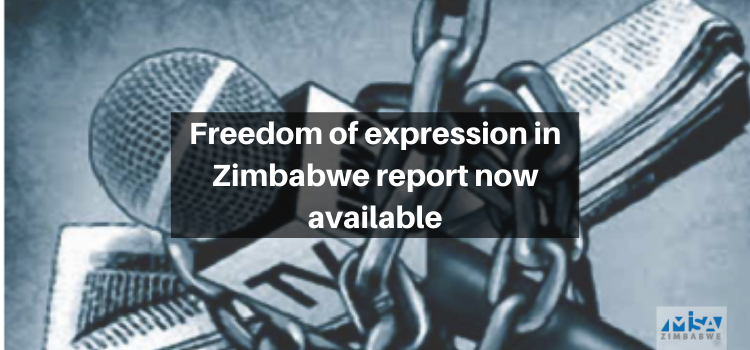 Freedom of expression, Zimbabwe