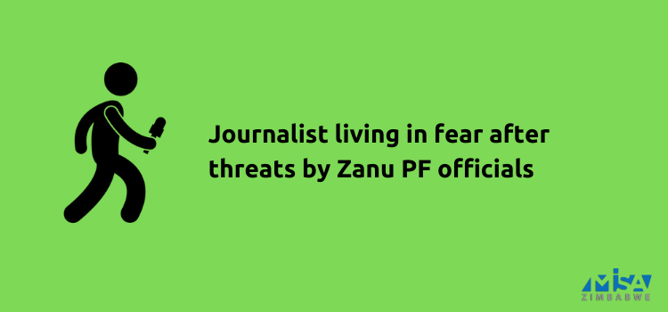 Journalist, Hopewell Chin'ono, living in fear