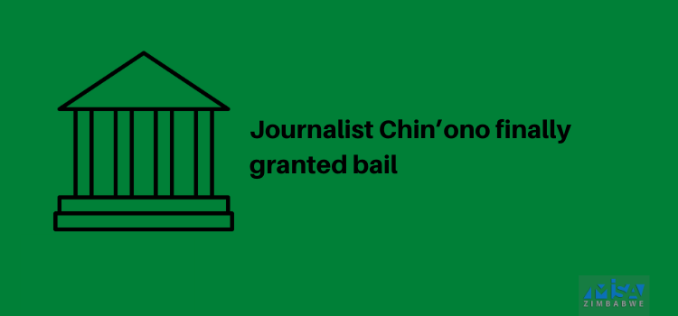 Chin'ono, bail, media violation