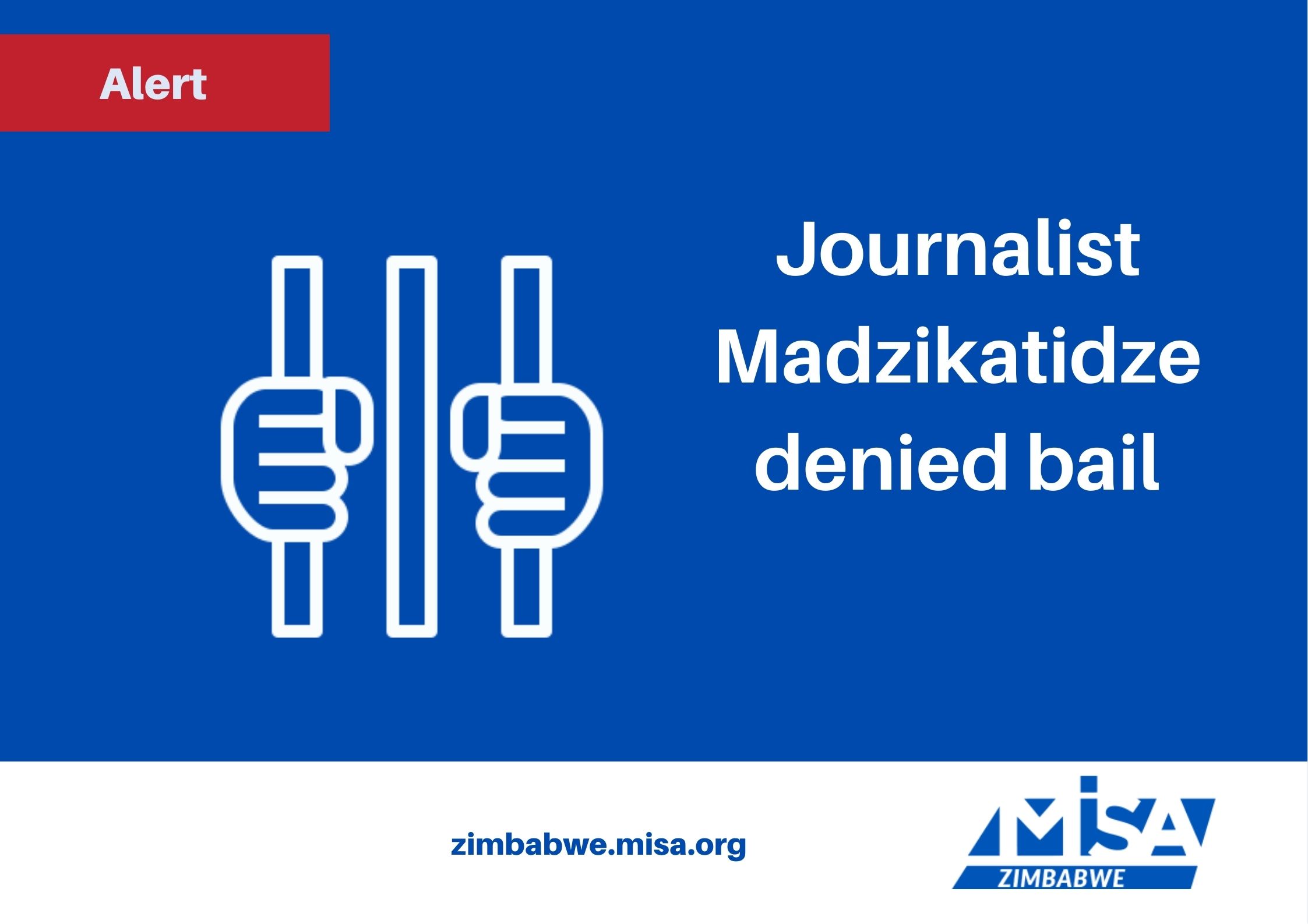 Journalist Madzikatidze denied bail